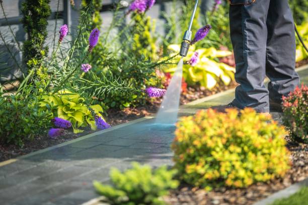 Best Animal Enclosure Cleaning  in Centerville, IN