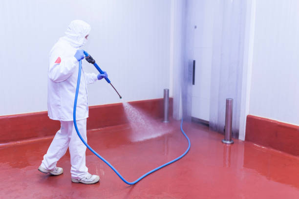 Reliable Centerville, IN Pressure Washing Services Solutions